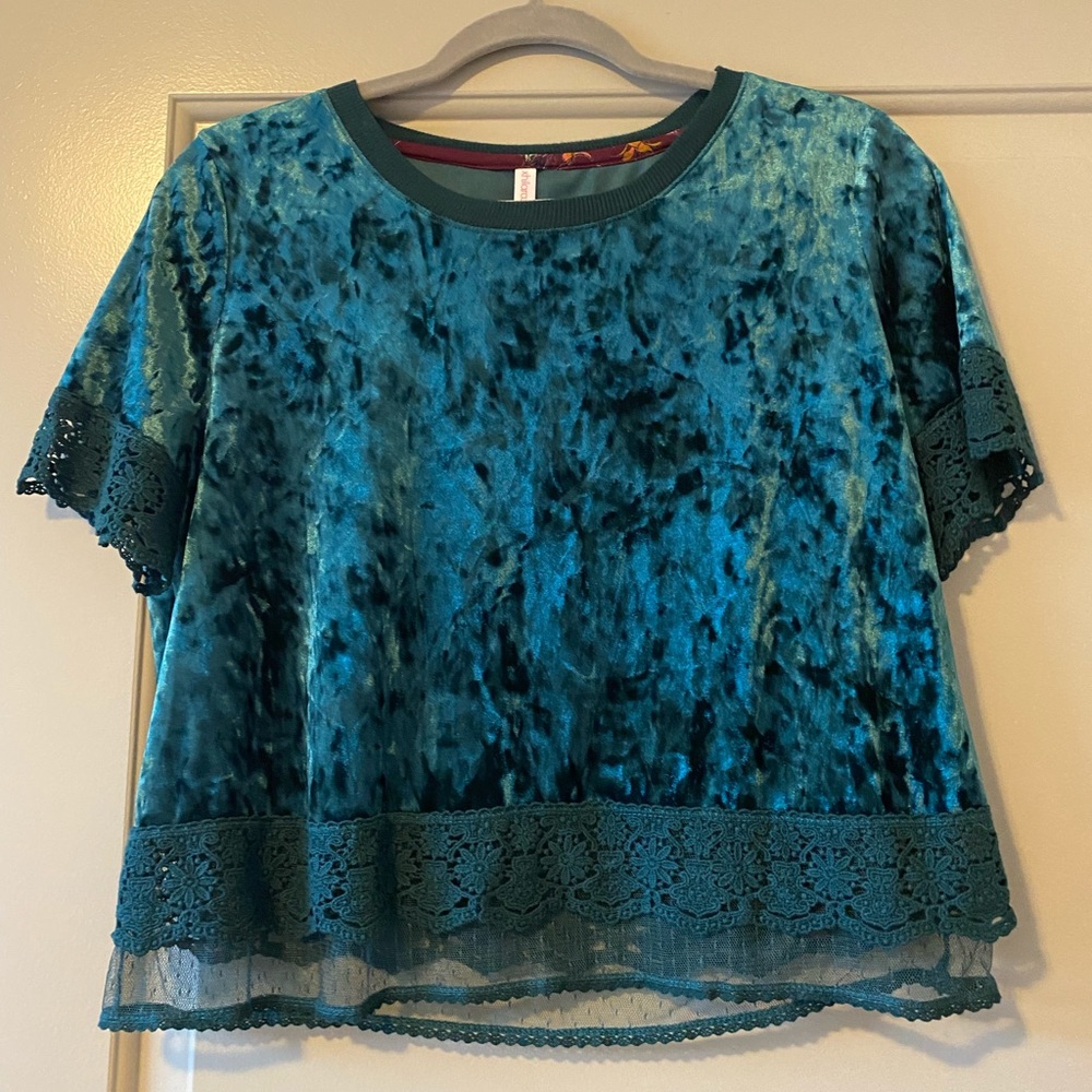 Beautiful teal velvet top